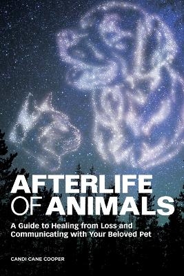 Afterlife of Animals