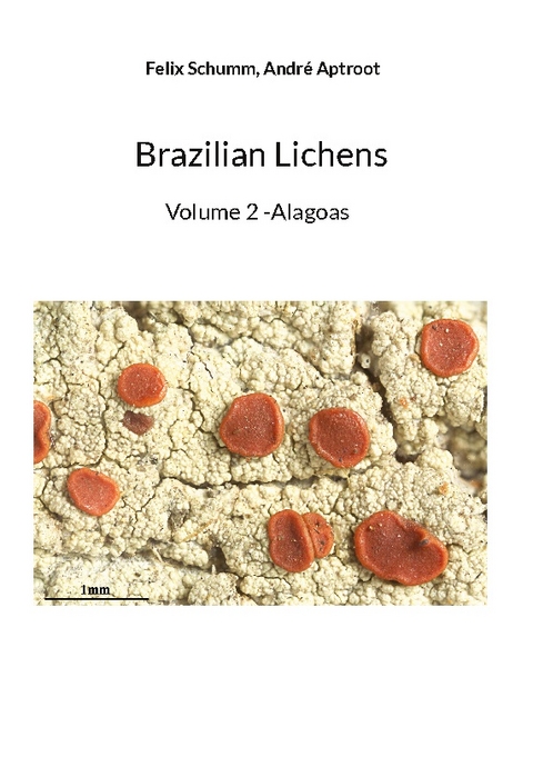 Brazilian Lichens - Felix Schumm, Andr&eacute; Aptroot