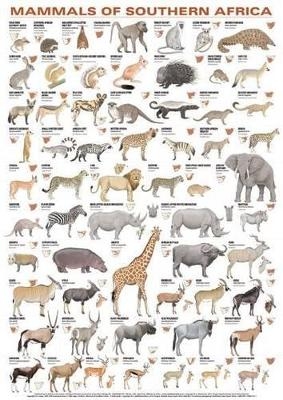 Mammals of Southern Africa
