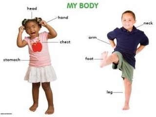My body: Grade R