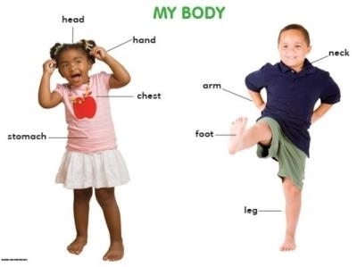 My body: Grade R