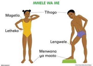 Chart: Junior Setswana our bodies
