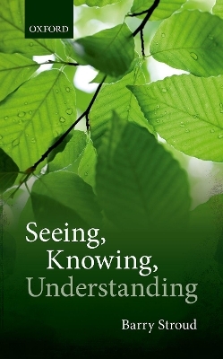 Seeing, Knowing, Understanding