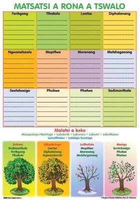 Chart: Junior setswana our birthdays