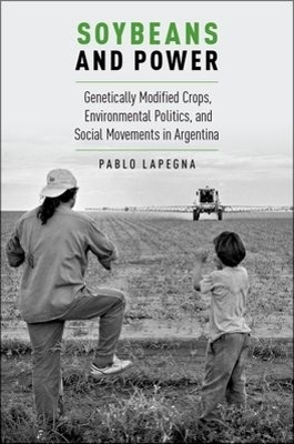 Soybeans and Power - Pablo Lapegna