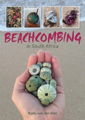 Beachcombing in South Africa - Rudy van der Elst