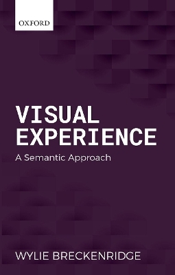 Visual Experience