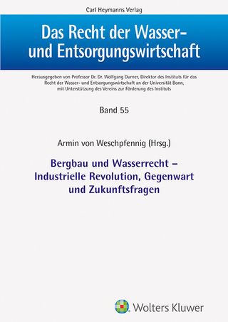 Bergbau und Wasserrecht - Industrielle Revolution, Gegenwar und Zukunftsfragen