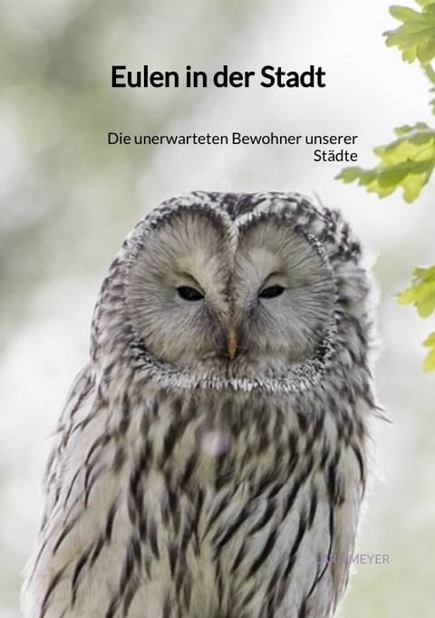 Eulen in der Stadt - Lara Meyer