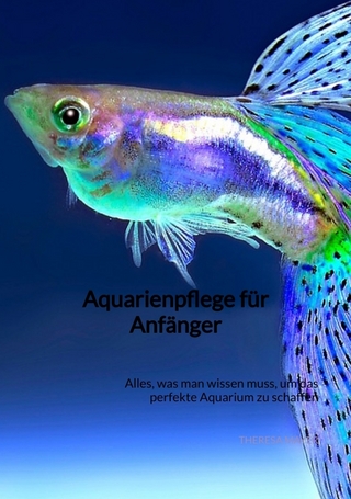 Aquarienpflege für Anfänger