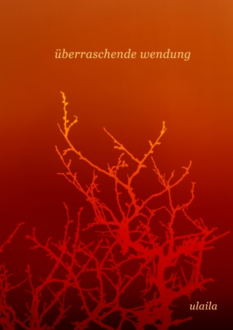 &uuml;berraschende wendung - . Ulaila