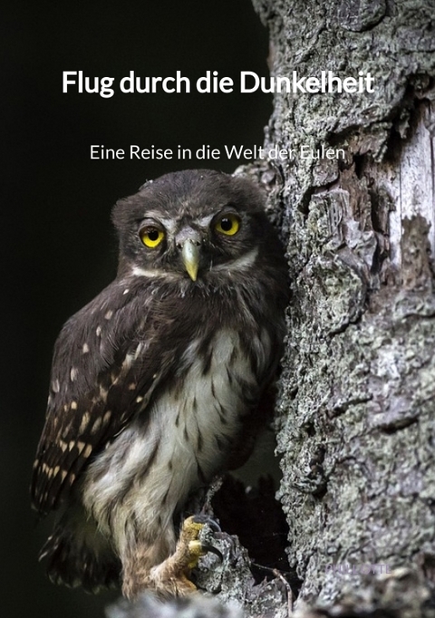 Flug durch die Dunkelheit - Eine Reise in die Welt der Eulen - Phill Otte