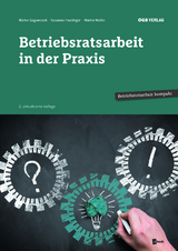 Betriebsratsarbeit in der Praxis - Susanne Haslinger, Walter Gagawczuk, Martin M&uuml;ller