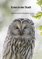 Eulen in der Stadt - Lara Meyer