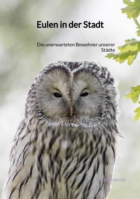 Eulen in der Stadt - Lara Meyer