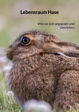 Lebensraum Hase - Olli Meyer