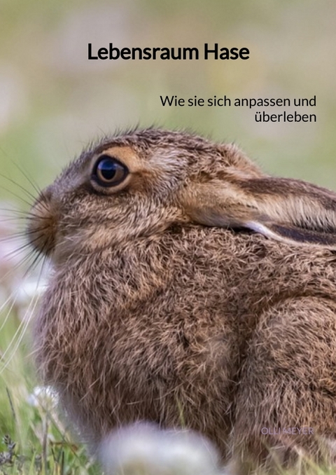 Lebensraum Hase - Olli Meyer