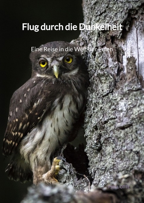 Flug durch die Dunkelheit - Eine Reise in die Welt der Eulen - Phill Otte