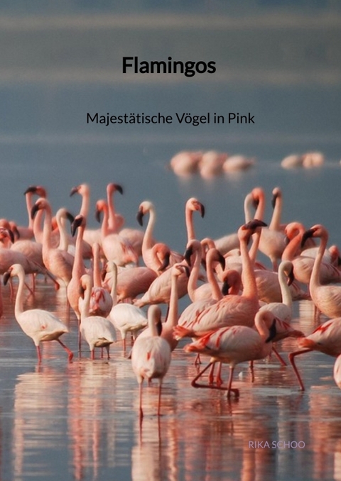 Flamingos - Majestätische Vögel in Pink - Rika Schoo