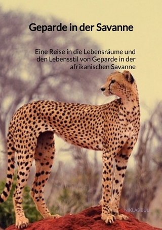 Geparden in der Savanne