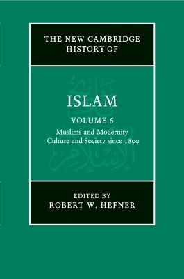 The New Cambridge History of Islam: Volume 6, Muslims and Modernity: Culture and Society since 1800 - 