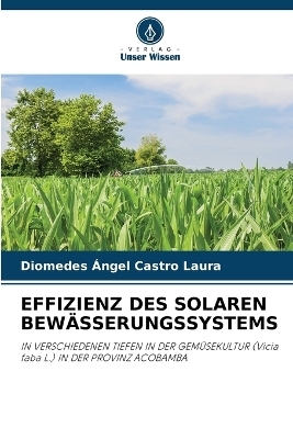 Effizienz Des Solaren Bewässerungssystems