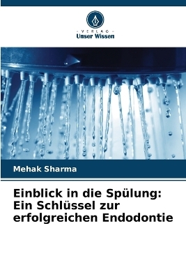 Einblick in die Spülung