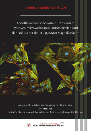 Endotheliale-mesenchymale Transition in hypoxen mikrovaskulären Endothelzellen und der Einfluss auf die TGFβ1/SMAD-Signalkaskade
