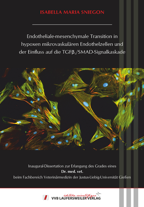 Endotheliale-mesenchymale Transition in hypoxen mikrovaskulären Endothelzellen und der Einfluss auf die TGFβ1/SMAD-Signalkaskade - Isabella Maria Sniegon