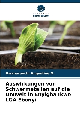 Auswirkungen von Schwermetallen auf die Umwelt in Enyigba Ikwo LGA Ebonyi