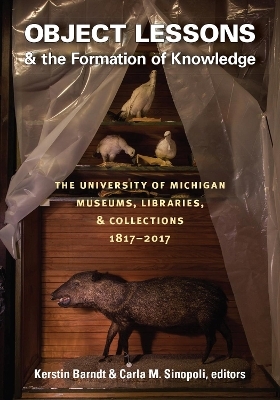 Object Lessons and the Formation of Knowledge - Kerstin Barndt, Carla M Sinopoli