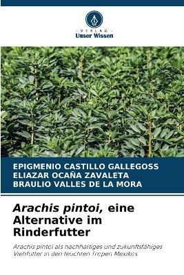 Arachis pintoi, eine Alternative im Rinderfutter