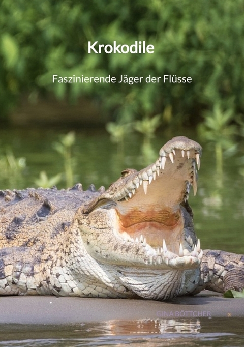 Krokodile - Faszinierende Jäger der Flüsse - Gina Böttcher