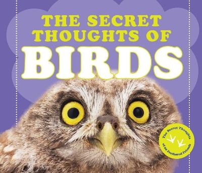 The Secret Thoughts of Birds - Cj Rose