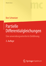 Partielle Differentialgleichungen - Schweizer, Ben