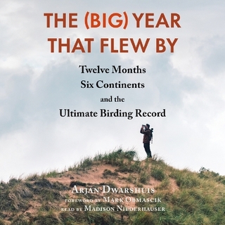 The (Big) Year That Flew by