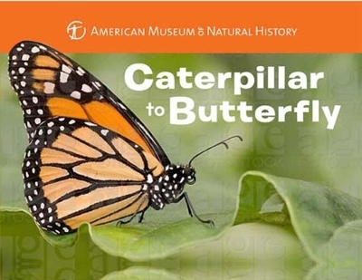 Caterpillar to Butterfly -  American Museum of Natural History, Melissa Stewart