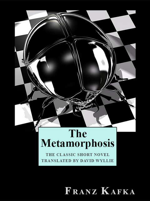 Metamorphosis -  Franz Kafka
