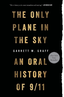 Only Plane in the Sky - Garrett M Graff