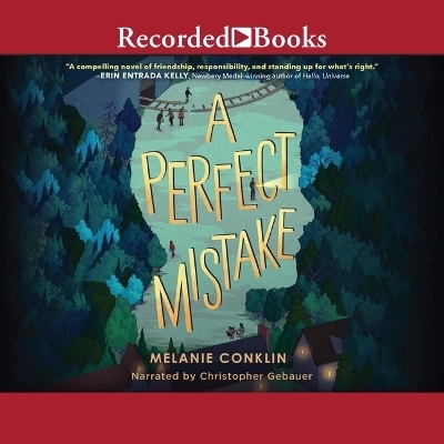 A Perfect Mistake - Melanie Conklin