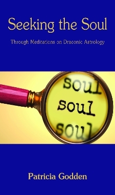 Seeking the Soul - Patricia Godden