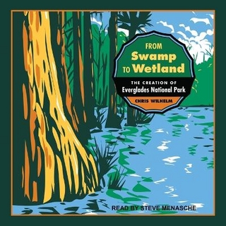 From Swamp to Wetland