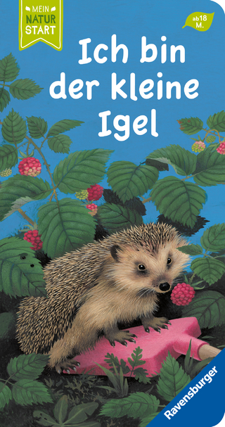 Ich bin der kleine Igel