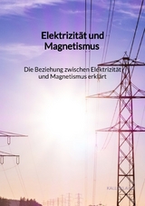 Elektrizit&auml;t und Magnetismus - Die Beziehung zwischen Elektrizit&auml;t und Magnetismus erkl&auml;rt - Kalle Klaus
