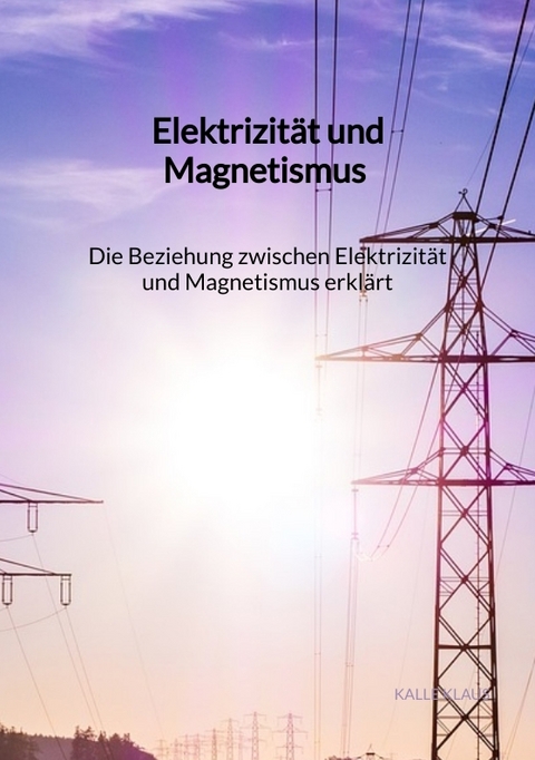 Elektrizit&auml;t und Magnetismus - Die Beziehung zwischen Elektrizit&auml;t und Magnetismus erkl&auml;rt - Kalle Klaus