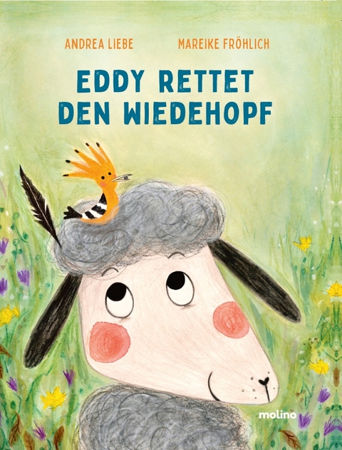 Eddy rettet den Wiedehopf - Mareike Fr&ouml;hlich