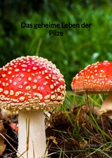 Das geheime Leben der Pilze - Luisa M&uuml;ller
