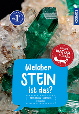 Welcher Stein ist das? Kindernaturf&uuml;hrer - Rupert Hochleitner