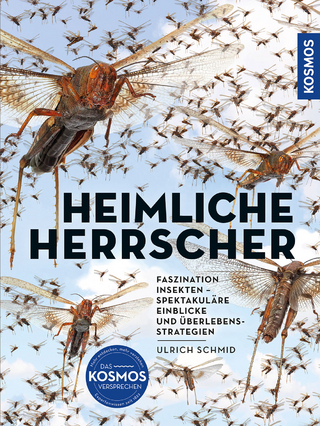 Heimliche Herrscher