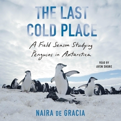 The Last Cold Place - Naira de Gracia